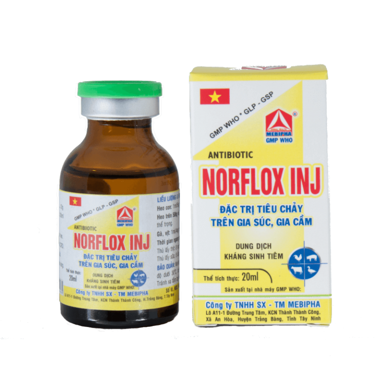 Norflox Inj Mebipha Online