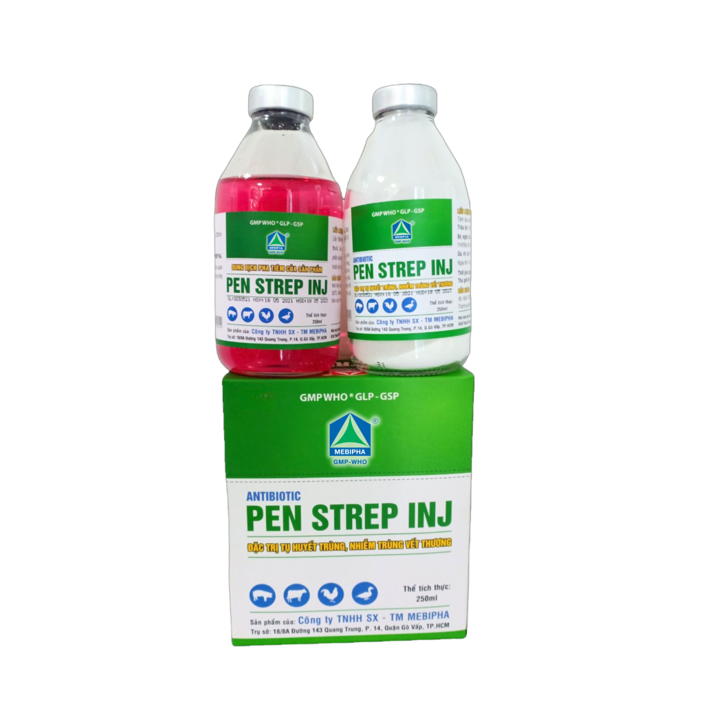 Pen Strep Injectable PenStrep INJ | Mebipha Online