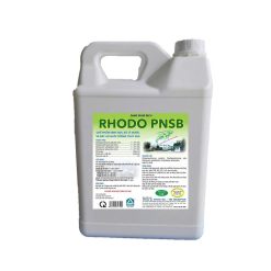 RHODO PNSN