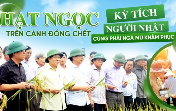 cover-hat-ngoc