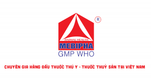 Mebipha – công ty hàng đầu về thuốc thú y và thuốc thuỷ sản tại Việt Nam