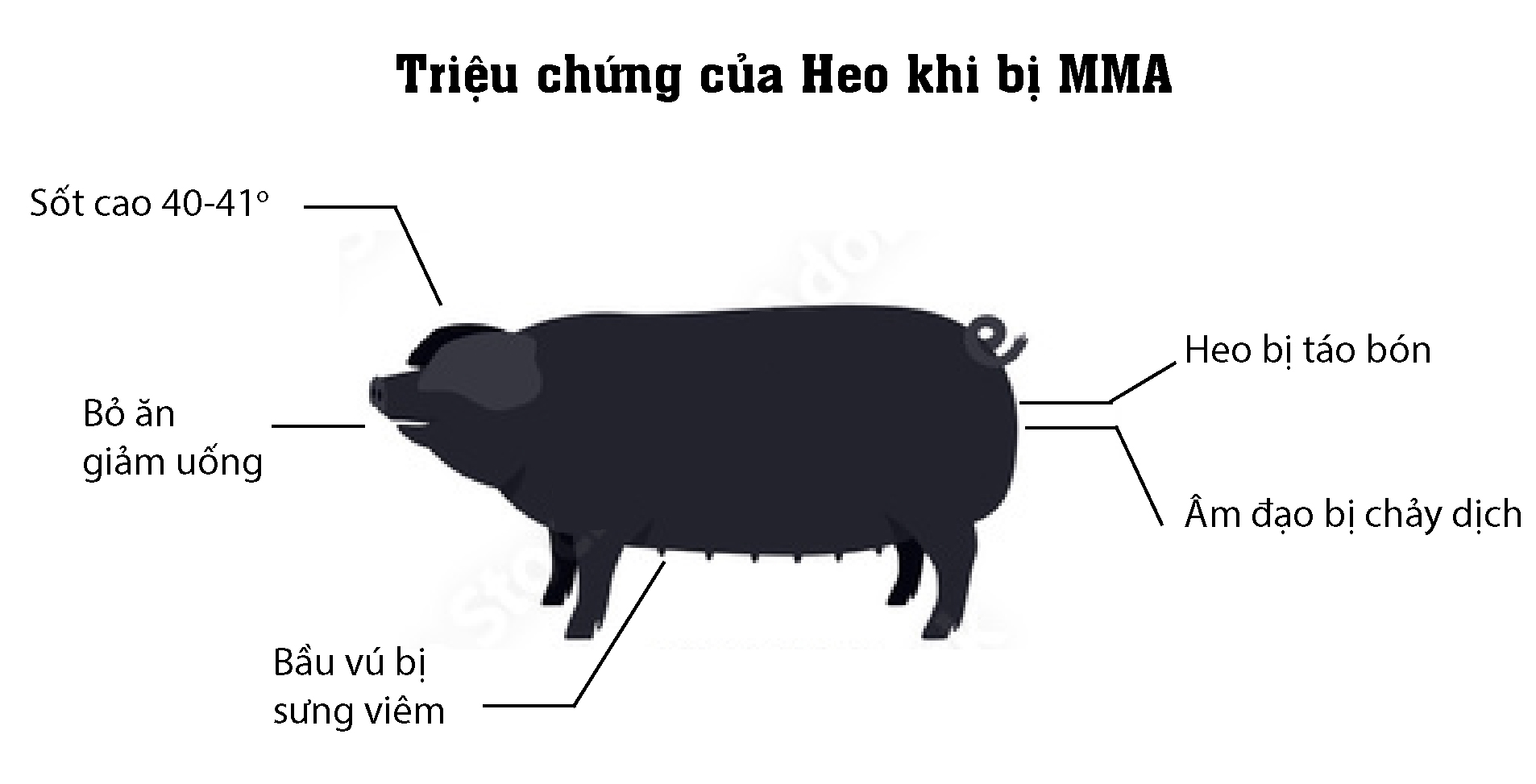 Biện Pháp Phòng Ngừa Hội Chứng MMA